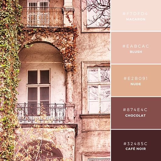 Build Your Brand: 20 Unique and Memorable Color Palettes to Inspire You